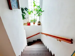 Prodej rodinného domu, Budyně nad Ohří, Malomlýnská, 200 m2