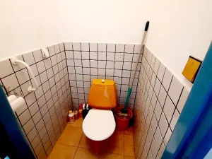 Prodej rodinného domu, Budyně nad Ohří, Malomlýnská, 200 m2