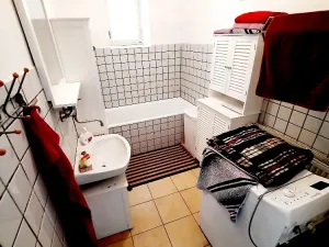 Prodej rodinného domu, Budyně nad Ohří, Malomlýnská, 200 m2