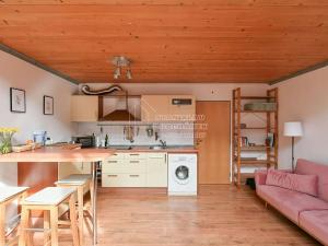 Pronájem atypického bytu, Praha - Libeň, Novákových, 44 m2