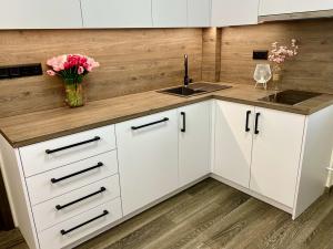 Pronájem bytu 2+kk, Roztoky, Braunerova, 60 m2