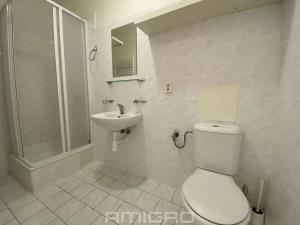 Pronájem bytu 1+kk, Brno, Pekařská, 30 m2