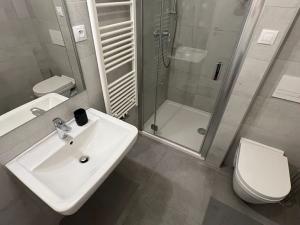 Pronájem bytu 1+kk, Brno, Reissigova, 42 m2