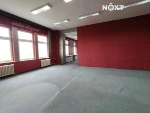 Pronájem atypického bytu, Ostrava, Dlouhá, 195 m2