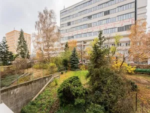 Pronájem bytu 2+1, Praha - Krč, Budějovická, 69 m2