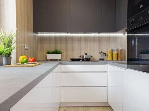 Pronájem bytu 2+1, Karviná, Prameny, 50 m2