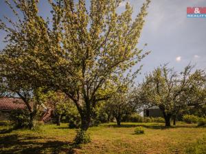 Prodej chalupy, Velenice, 65 m2
