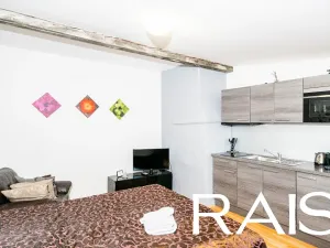 Prodej činžovního domu, Brno, 1005 m2
