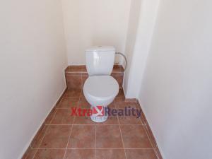 Pronájem bytu 2+1, Teplice, Školní, 101 m2