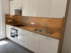 Pronájem bytu 3+kk, Frýdek-Místek, 65 m2