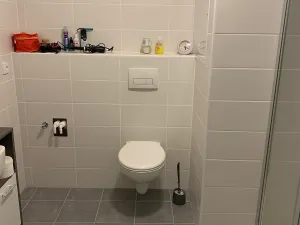 Pronájem bytu 1+kk, Olomouc, Wolkerova, 30 m2
