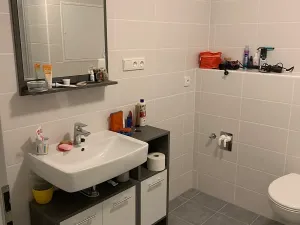 Pronájem bytu 1+kk, Olomouc, Wolkerova, 30 m2