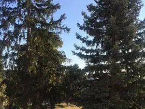 Pronájem bytu 1+1, Praha - Břevnov, U Petřin, 50 m2