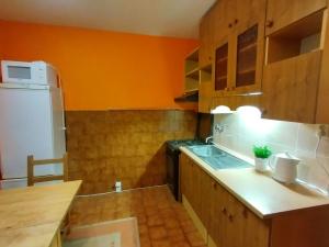Pronájem bytu 1+1, Ostrava, 35 m2