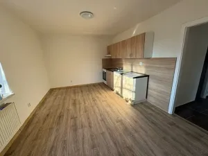 Pronájem bytu 2+1, Ostrava, Gorochovova, 50 m2