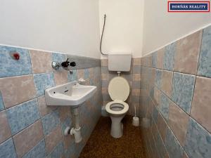 Pronájem rodinného domu, Slavkov u Brna, Nádražní, 118 m2