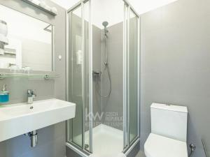 Pronájem bytu 1+kk, Praha - Nusle, Na Jezerce, 18 m2