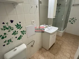 Prodej bytu 1+1, Sezimovo Ústí, Lipová, 46 m2