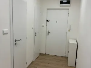 Pronájem bytu 2+1, Ostrava, Petra Křičky, 58 m2