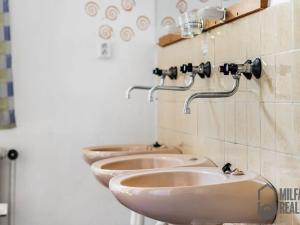 Prodej rodinného domu, Desná, Na Sedmidomky, 660 m2