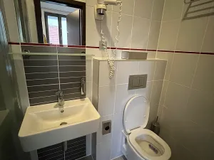 Pronájem bytu 1+kk, Brno, Francouzská, 19 m2