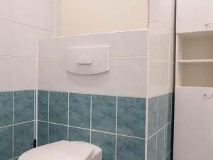 Pronájem bytu 2+kk, Praha - Černý Most, Trytova, 33 m2