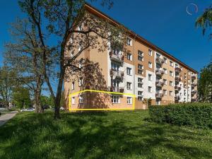 Prodej bytu 3+1, Olomouc, Dělnická, 63 m2