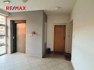 Prodej bytu 2+kk, Brno, Bělohorská, 63 m2