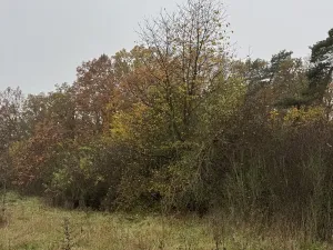 Prodej pozemku, Praha - Nové Město, 14747 m2