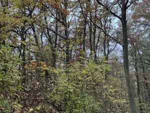 Prodej pozemku, Praha - Nové Město, 14747 m2