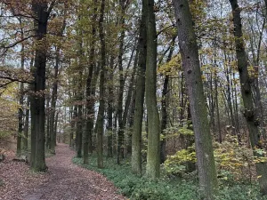 Prodej pozemku, Praha - Nové Město, 14747 m2
