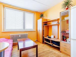 Prodej bytu 1+kk, Jihlava, Okružní, 19 m2