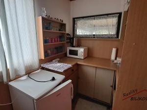 Prodej chaty, Brandýs nad Labem-Stará Boleslav, 12 m2