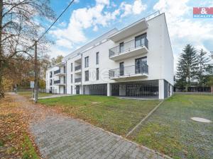 Pronájem bytu 1+kk, Třemošná, Školní, 32 m2