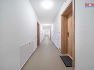 Pronájem bytu 1+kk, Třemošná, Školní, 32 m2