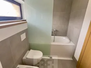 Pronájem rodinného domu, Praha - Libuš, V Hrobech, 304 m2