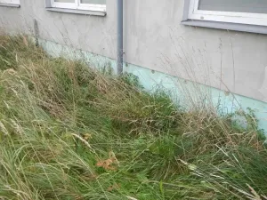 Prodej skladu, Habry, Sázavská, 790 m2
