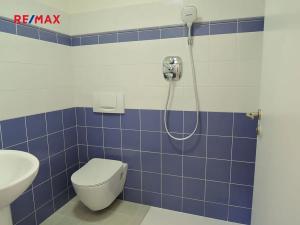 Pronájem bytu 5+kk, Praha - Hodkovičky, Údolní, 113 m2
