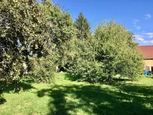 Prodej rodinného domu, Blížejov, Ke Hřbitovu, 254 m2