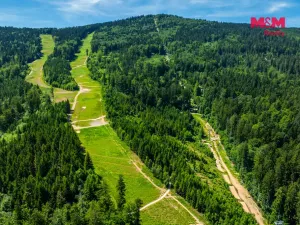 Prodej pozemku pro bydlení, Červená Voda, 1251 m2