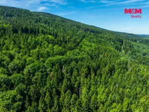Prodej pozemku pro bydlení, Červená Voda, 1251 m2
