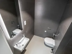 Prodej bytu 1+kk, Praha - Žižkov, Seifertova, 67 m2