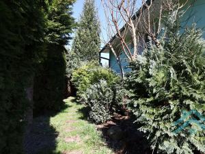 Prodej rodinného domu, Chlum, 200 m2
