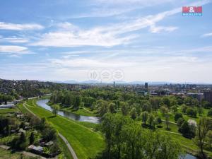 Prodej obchodního prostoru, Ostrava, Hilbertova, 57 m2