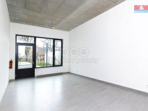 Pronájem obchodního prostoru, Pardubice, Smilova, 39 m2