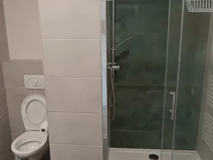 Pronájem bytu 1+1, Plzeň, Elišky Krásnohorské, 40 m2