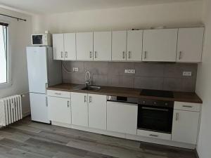 Pronájem bytu 1+1, Plzeň, Elišky Krásnohorské, 40 m2