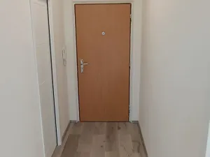 Pronájem bytu 1+1, Plzeň, Elišky Krásnohorské, 40 m2