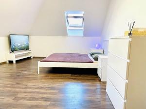 Pronájem bytu 1+1, Jihlava, Kosmákova, 45 m2