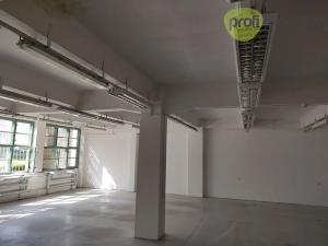 Pronájem skladu, Zlín, Šedesátá, 340 m2